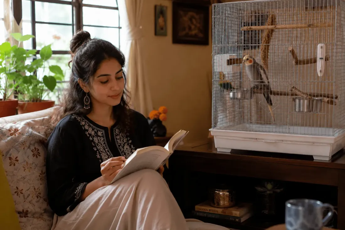 A person sitting calmly near a bird cage, reading, while a cockatiel observes